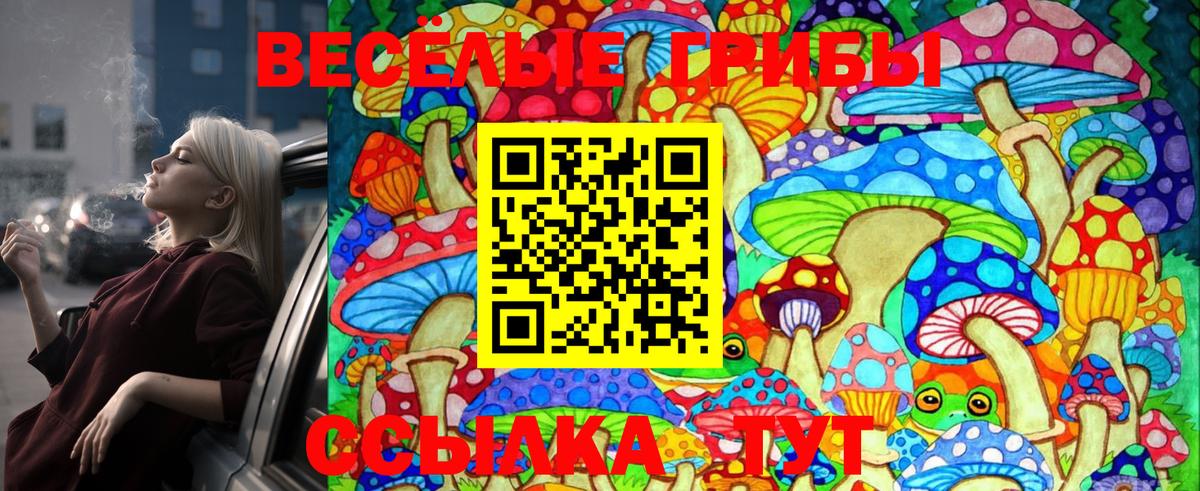 Галлюциногенные грибы Magic Shrooms Грязи