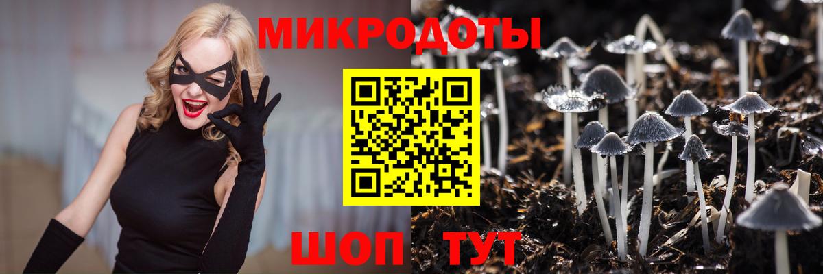 цены наркотик  Галлюциногенные грибы прущие грибы  Вход с VPN  Грязи 